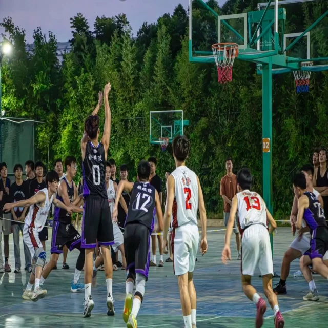 樊振东回归国乒备战国际赛事